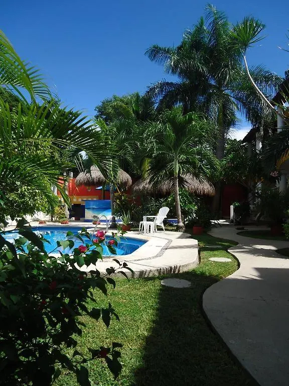 Hotel Playa Del Carmen Acuario