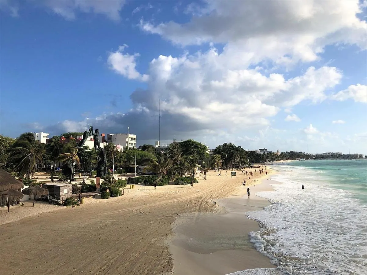 Hotel Playa Del Carmen Acuario